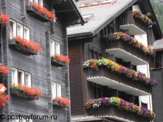 Много йветов на балконе